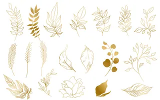 插画花卉线条图案线条花卉金色矢量图案线条插画