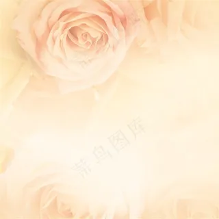 唯美梦幻橘粉色花朵边框背景