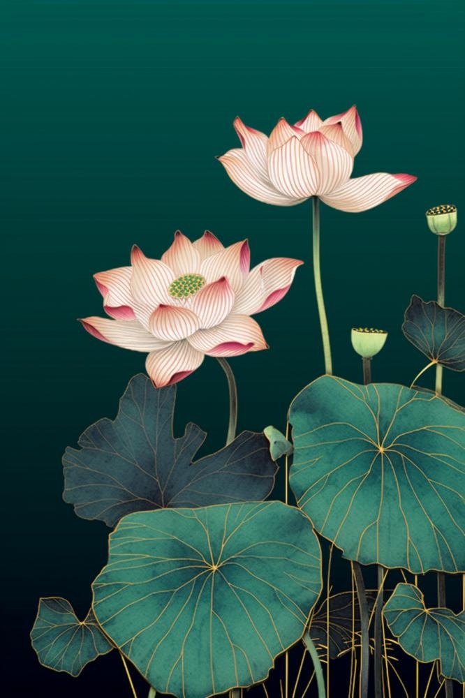 绿色简约清新莲花节气背景(896x1344)