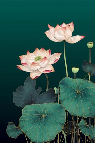 绿色简约清新莲花节气背景