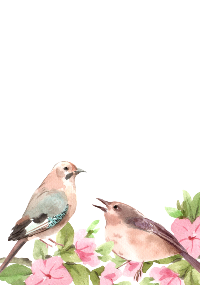 插画春鸟免抠素材