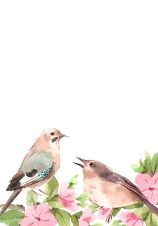 插画春鸟免抠素材