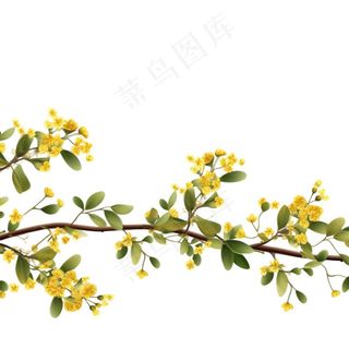 桂花黄花树枝免抠