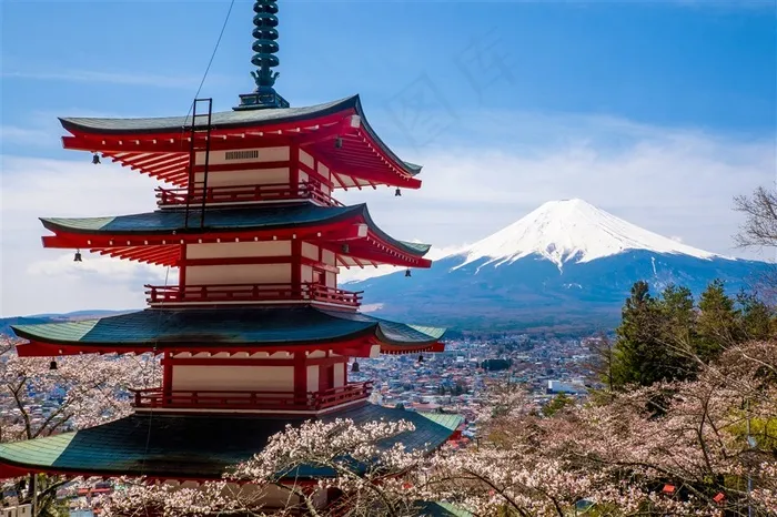 富士山下的樱花