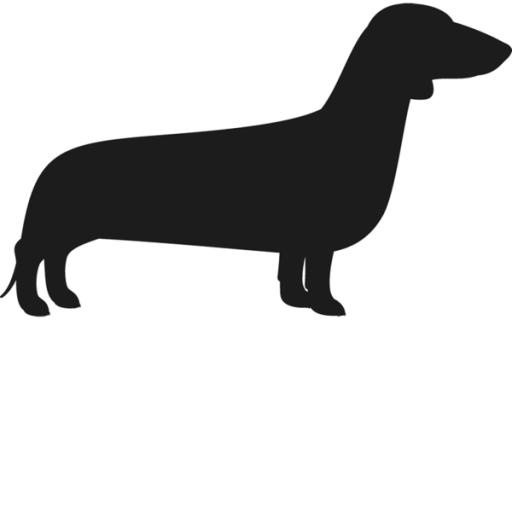 腊肠犬 PNG免抠(600x600)