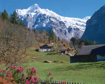 雪山脚下草地上的村庄 雪山脚下草地上的村庄