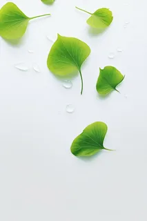 简约清新绿叶水滴节气海报背景