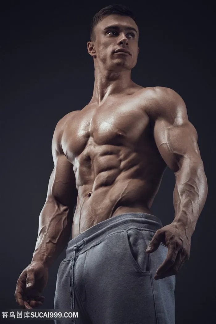 健美的肌肉男高清图片