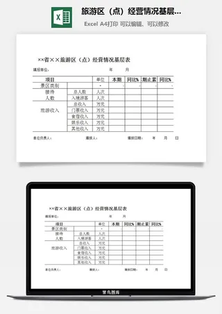 旅游区（点）经营情况基层表excel模板