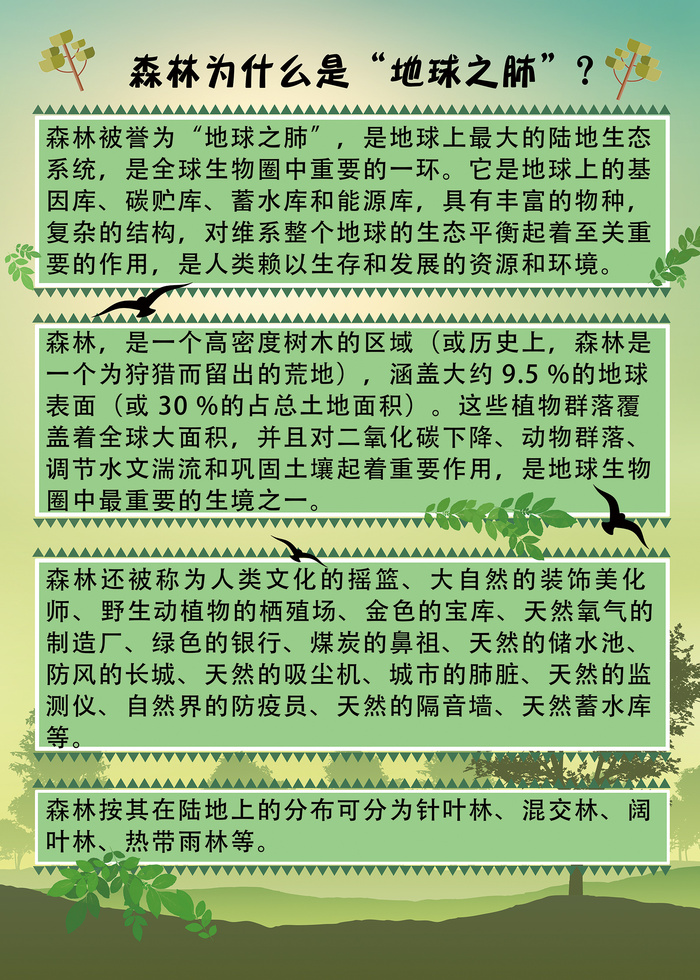 地球之肺森林知多少海报