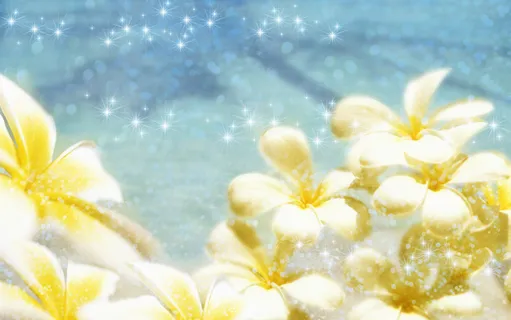 图片设计素材背景鸟语花香