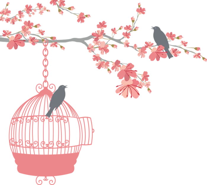 分红鸟笼卡通
