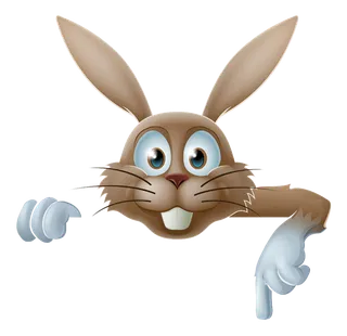 兔子指示牌兔年