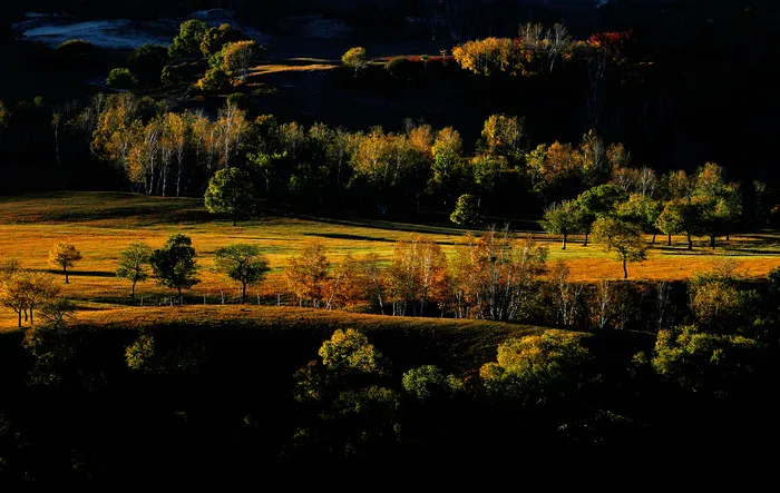 森林风景素材图片下载
