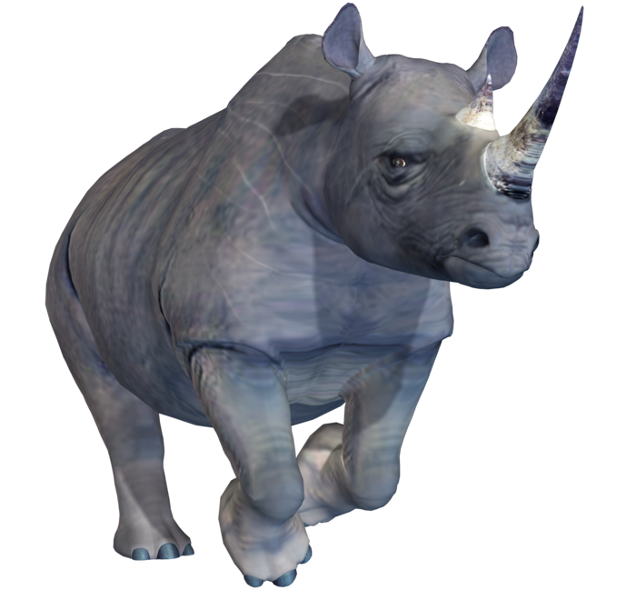 犀牛动物园动物设计素材森林野生