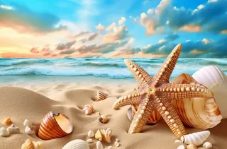 海滩上的海星和贝壳以壮观的背景、天蓝色和米色为风格的背景