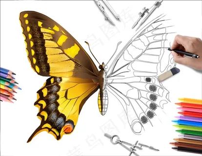 昆虫蝴蝶的半成品绘画