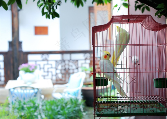 周庄花间堂内景