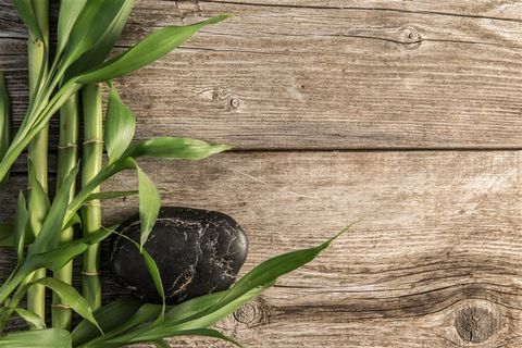 美丽的花朵与按摩石高清图