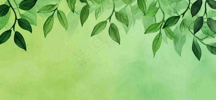 绿色简约绿植绿叶手绘插画笔墨意境(1616x752)