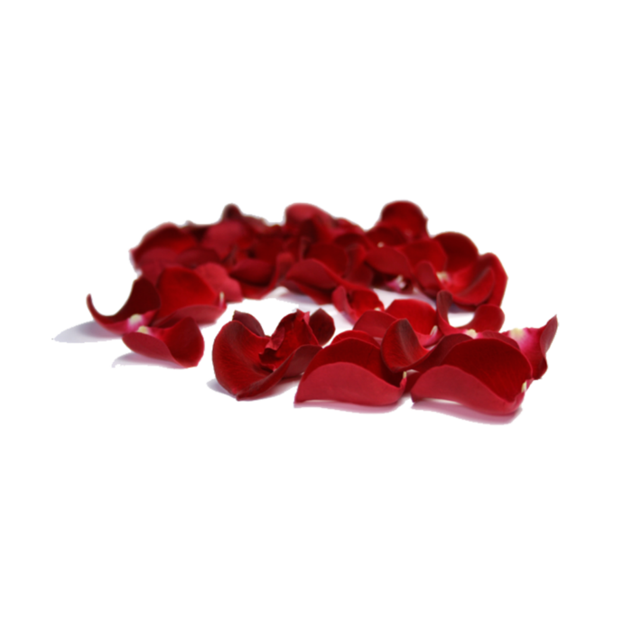 花瓣爱心素材