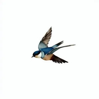 燕子png免抠