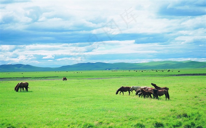 蓝天白云草原高清图片