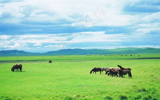 蓝天白云草原高清图片