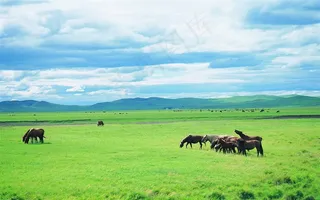 蓝天白云草原高清图片
