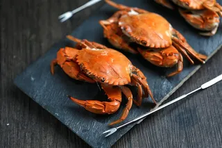 大螃蟹高清图片素材