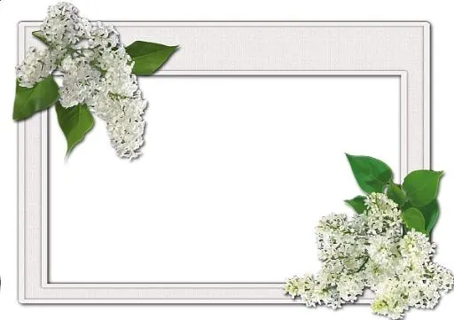 图片,相框PNG免抠(600x424)