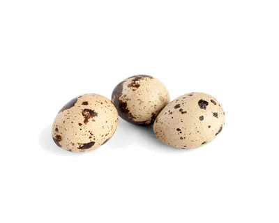 鹌鹑蛋 (超市商品白底图免抠实物摄影png格式图片透明底324