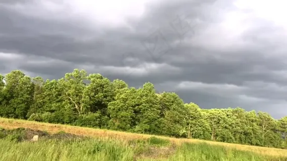 阳光, 云, 对比, 树木, 天气, 户外的, 天, 云景