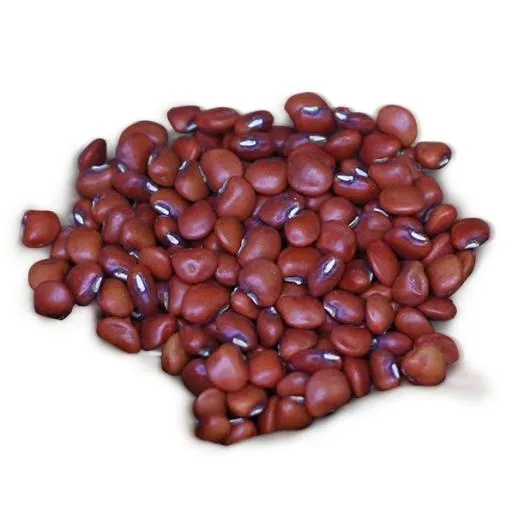 芸豆 PNG免抠(597x597)