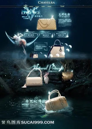 精美网站素材 女包  大气 魔幻