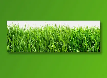 草地免扣png  草地免扣png