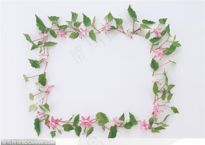 相框边框-粉色小花编成的花边