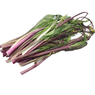 红菜心超市商品白底图免抠实物摄影png格式图片透明底