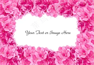 粉红色鲜花边框图片下载