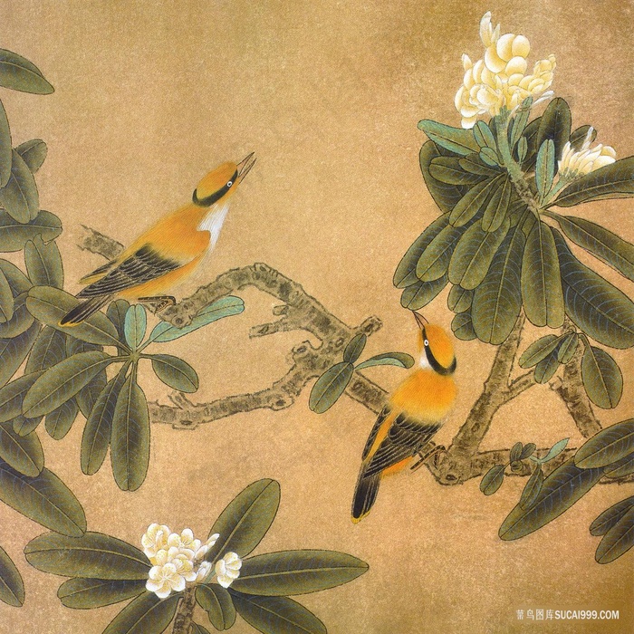 花鸟黄鹂中式画