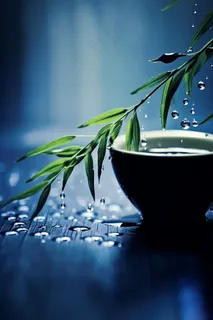 杯子枝叶水珠露珠淡雅背景 杯子枝叶水珠露珠淡雅背景