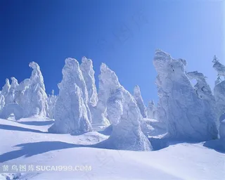 高清雪地风景图片
