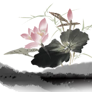 中国风水墨画花卉素材