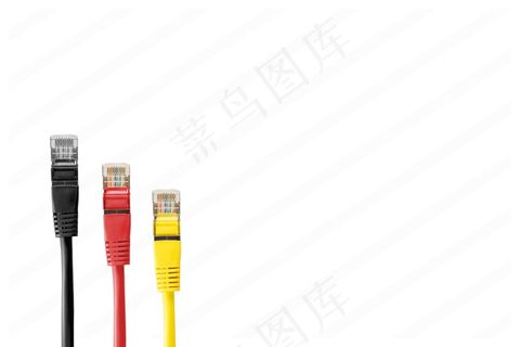 rj45网线图片