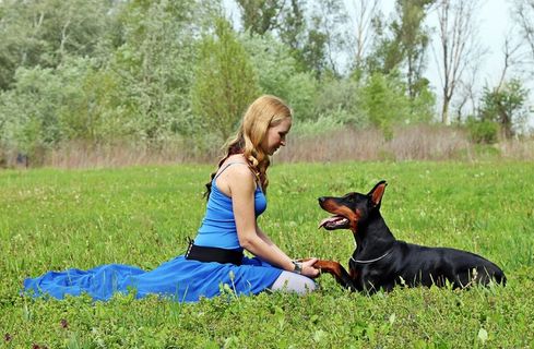 草地萌宠美女图片