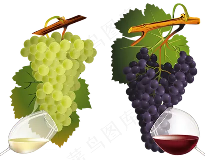 葡萄免抠素材 (4)