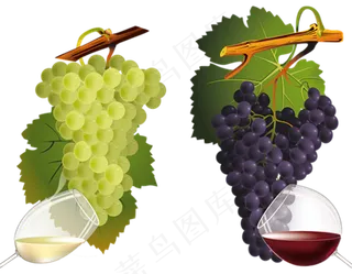 葡萄免抠素材 (4)
