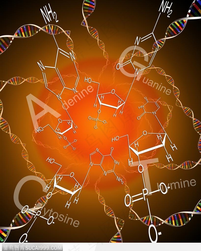 医学基因数码图-DNA分子结构图