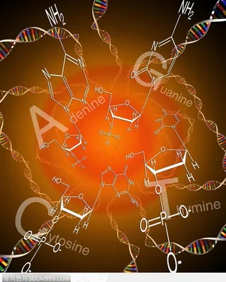 医学基因数码图-DNA分子结构图