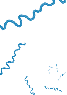 蓝色波纹画册免抠背景图